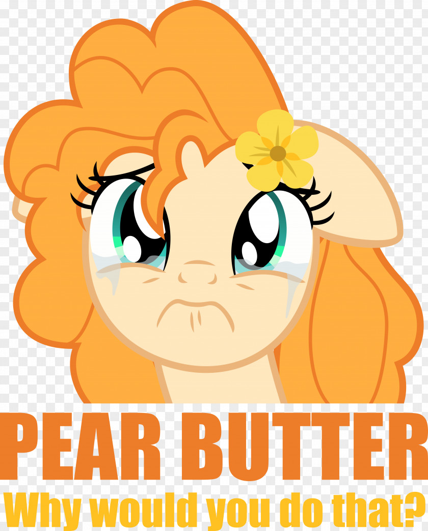 Asian Pear Vector Pony Applejack The Perfect Butter Fitre PNG