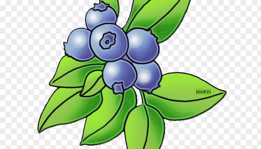 Iris Herbaceous Plant Blue Flower PNG