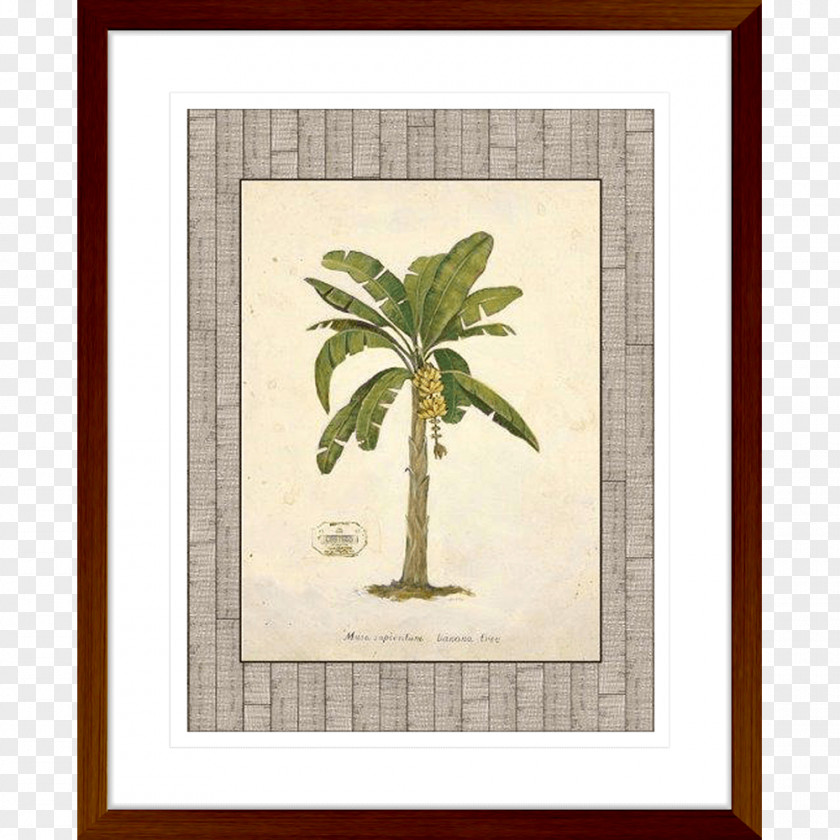 Painting Picture Frames Work Of Art Canvas Print Poster PNG