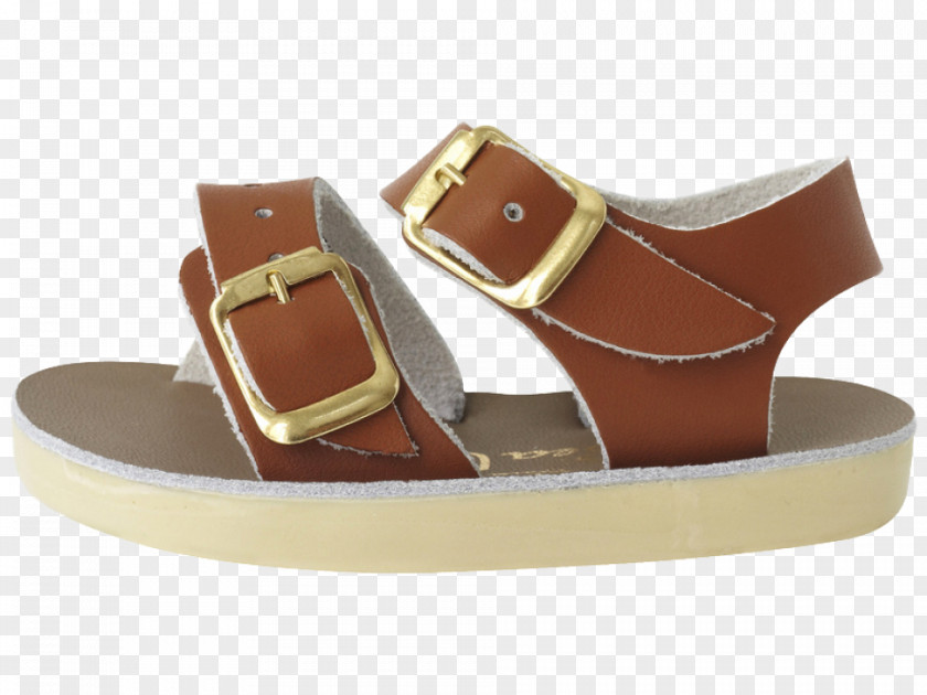 Sandal Saltwater Sandals Shoe Footwear Leather PNG