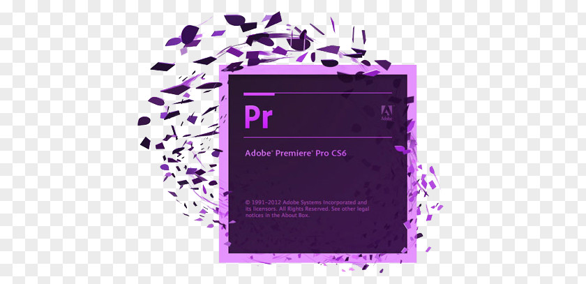 Adobe Premiere Pro Dynamic Link Systems Computer Software Creative Suite PNG
