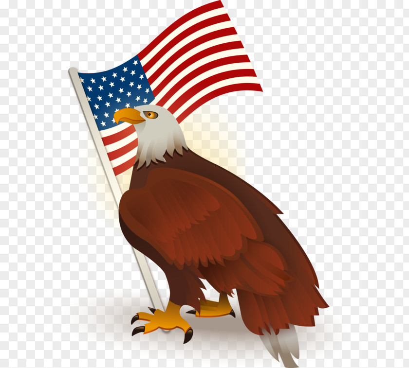 American Eagle Logo Clipart Bald Clip Art Image PNG