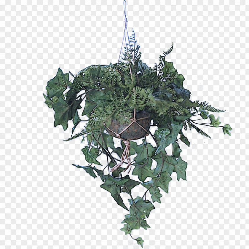 Anthurium Christmas Decoration PNG