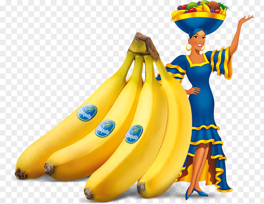 Fruit Banana Chiquita Brands International Fyffes PNG