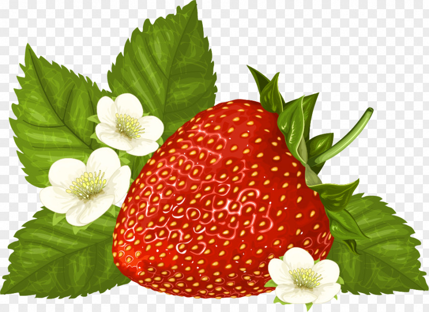 Strawberry Flower Vector Graphics Clip Art Image Illustration PNG