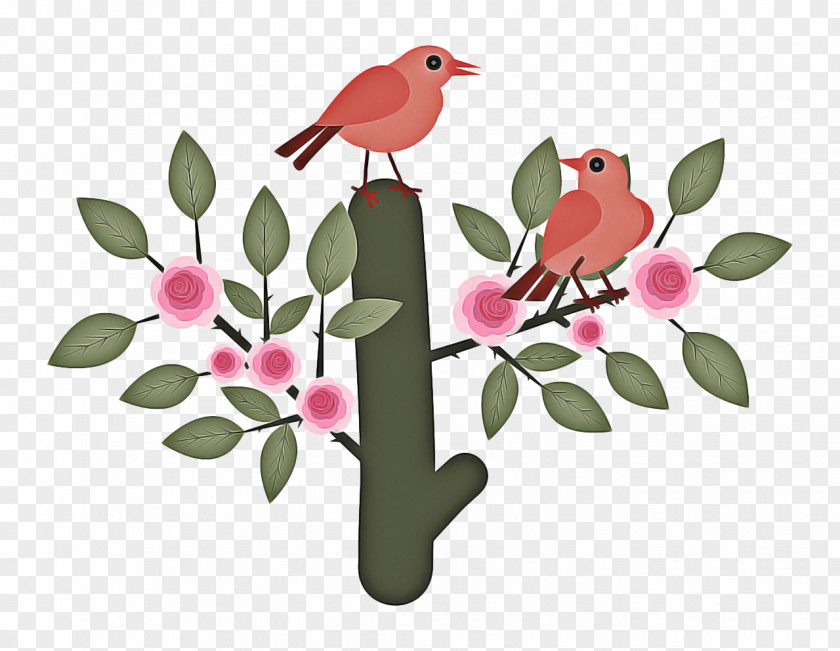 Twig Cardinal Lily Flower Cartoon PNG