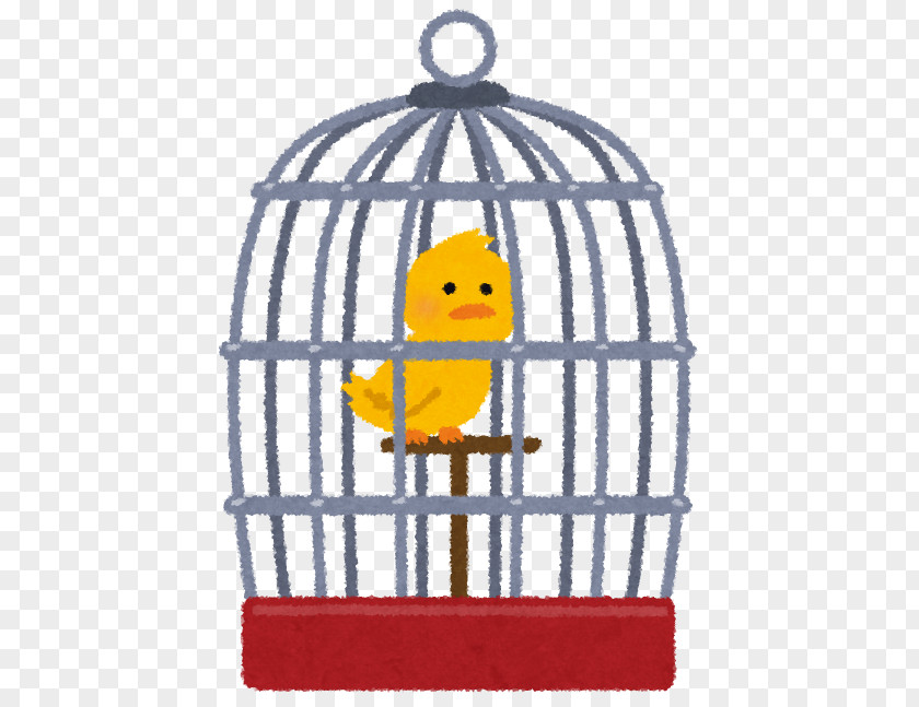 Bird Birdcage Cockatiel PNG