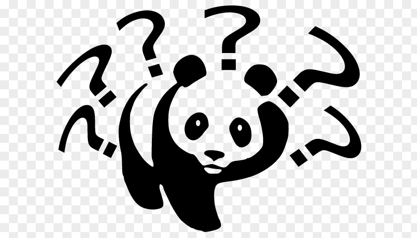 Question Mark Giant Panda Clip Art PNG