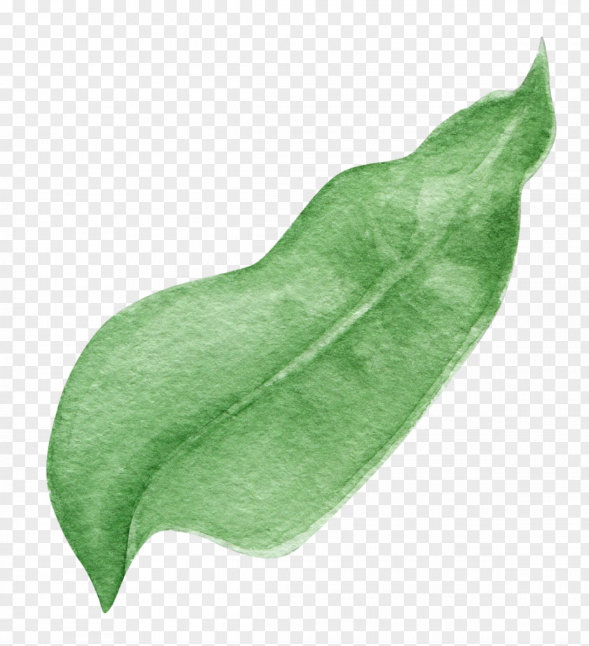 Bend Watercolor Green Leaf Design Image PNG