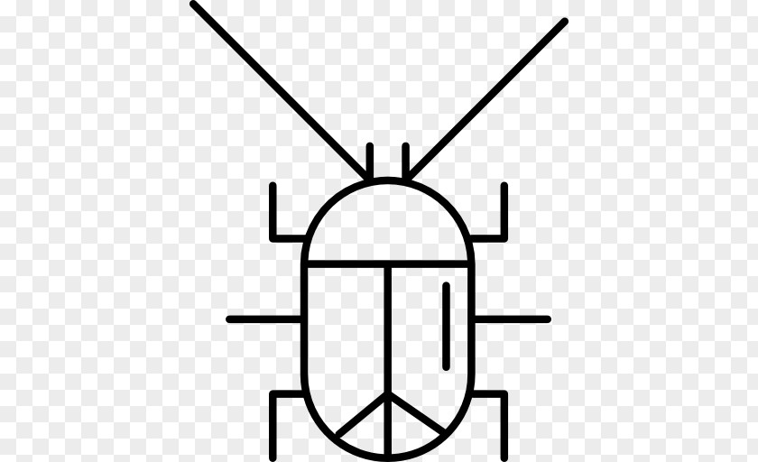 Cockroach Insect PNG