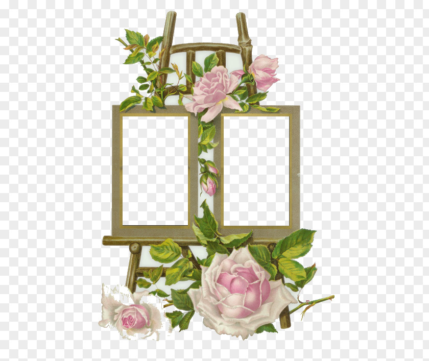 Design Picture Frames Floral Photography PNG
