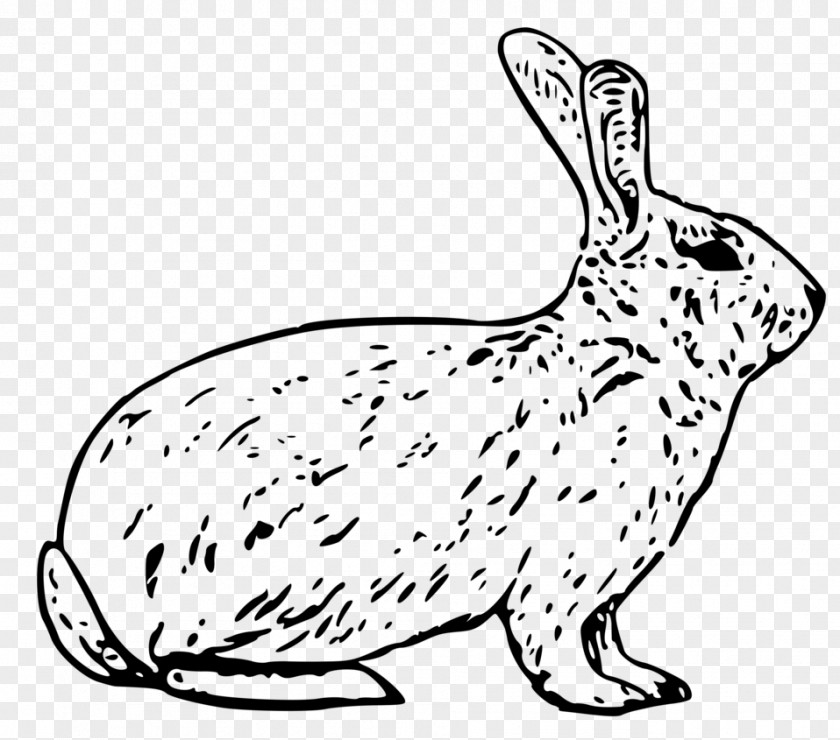 Elephant Rabbit Arctic Hare Snowshoe Easter Bunny Mountain Clip Art PNG