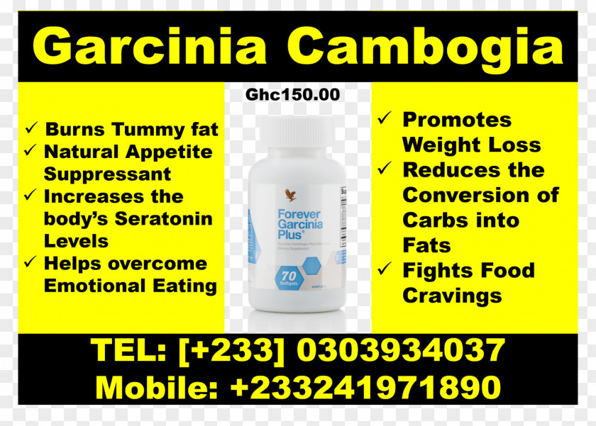 Garcinia Gummi-gutta Weight Loss Dietary Supplement Anorectic Health PNG