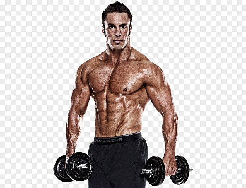 Muscle Fitness Weight Training Shoulder PNG