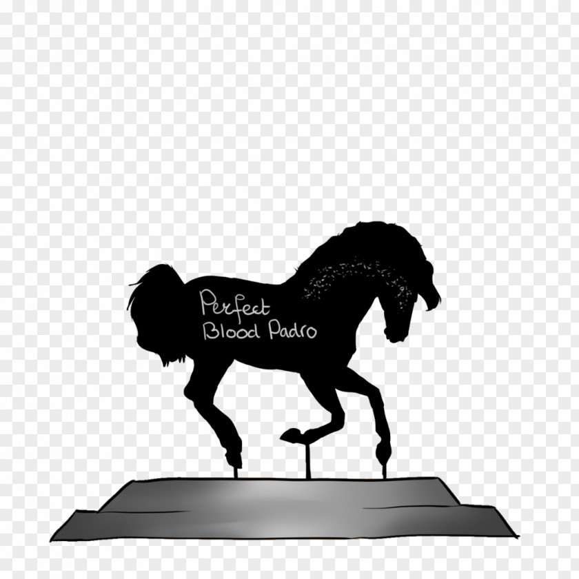 Mustang Mane Stallion Pack Animal Silhouette PNG