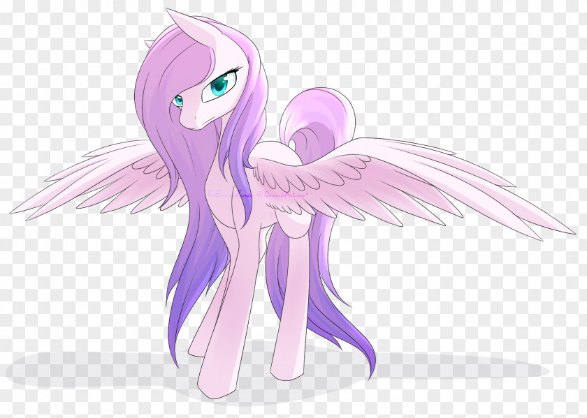 Pink Feathers DeviantArt Horse Color 3 February PNG