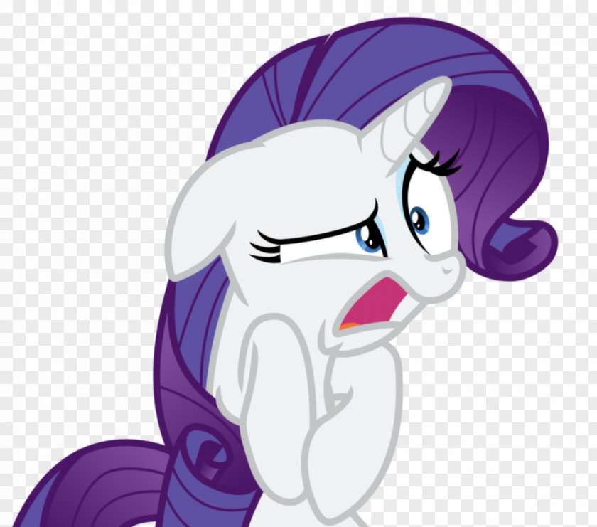 Rarity Twilight Sparkle Equestria Daily Rainbow Dash PNG