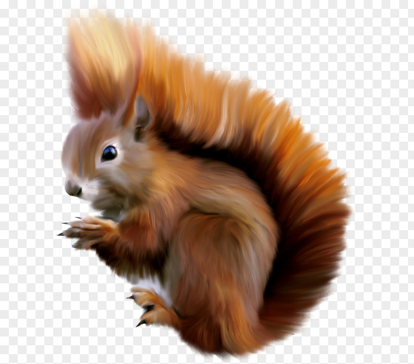 Cartoon Squirrel PNG