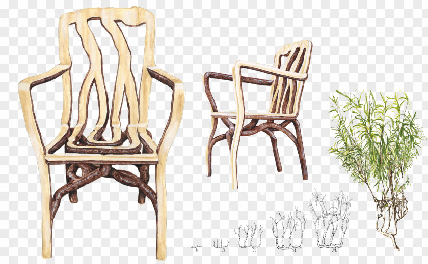Chair Furniture Tree Designer PNG