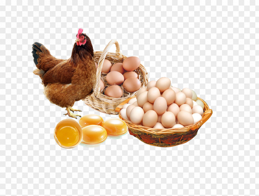 Egg Chicken Poster Advertising PNG