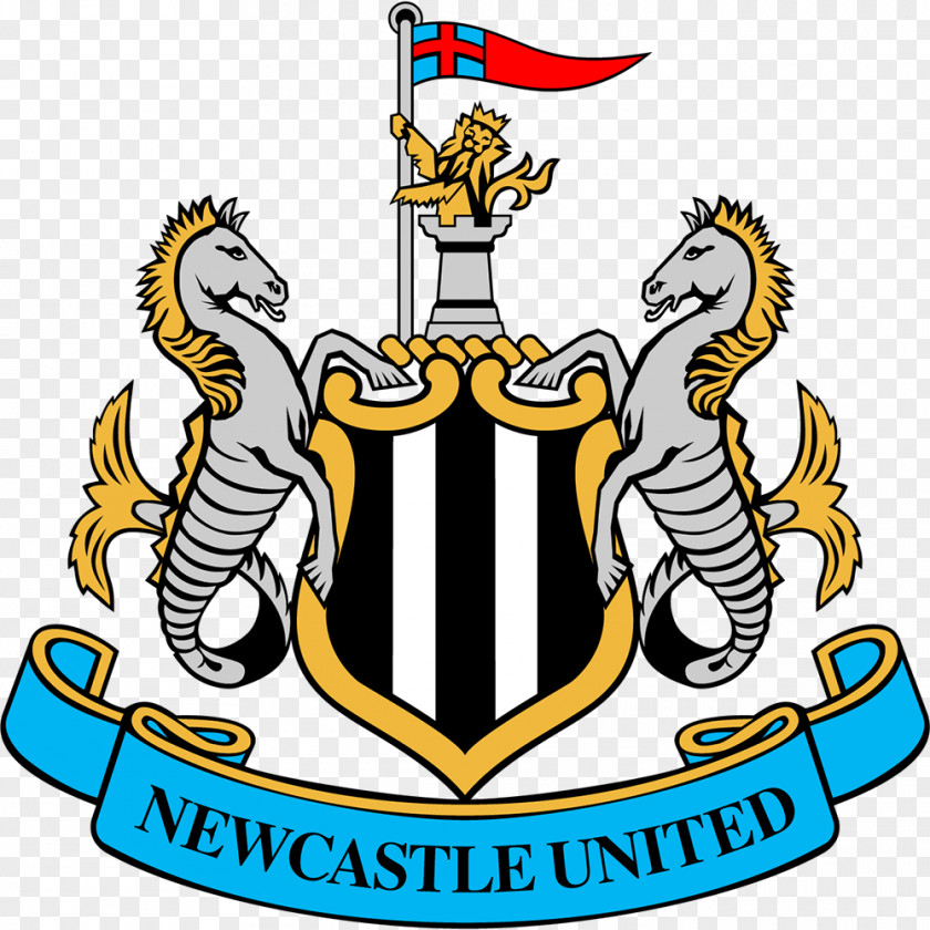 Football Newcastle United F.C. St James' Park 2012–13 Premier League Liverpool PNG