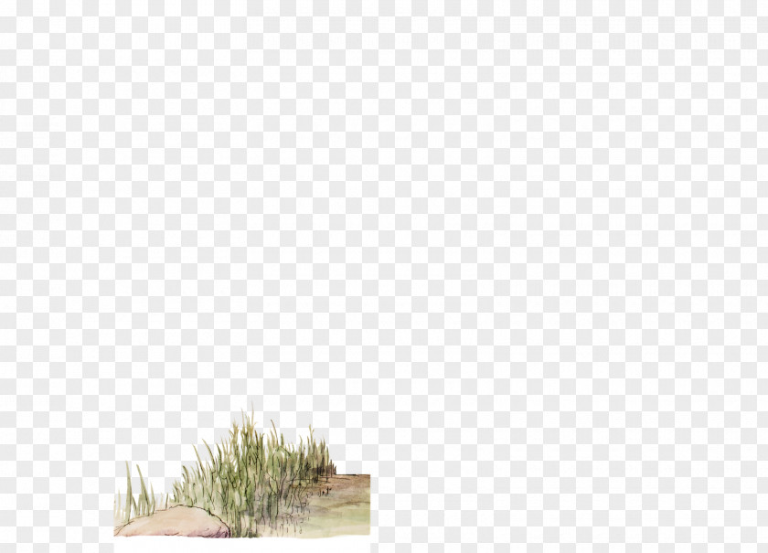 Pond Tree Grasses Plant Sky Family PNG