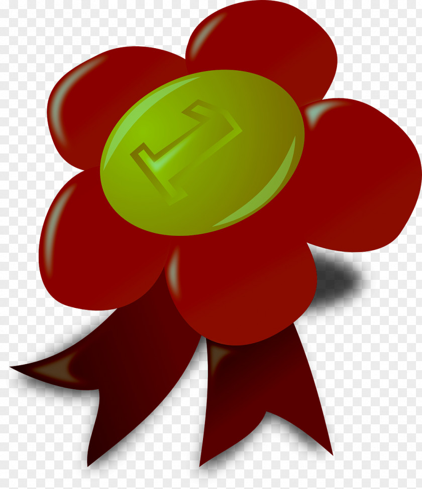 Ribbon Award Prize Rosette PNG