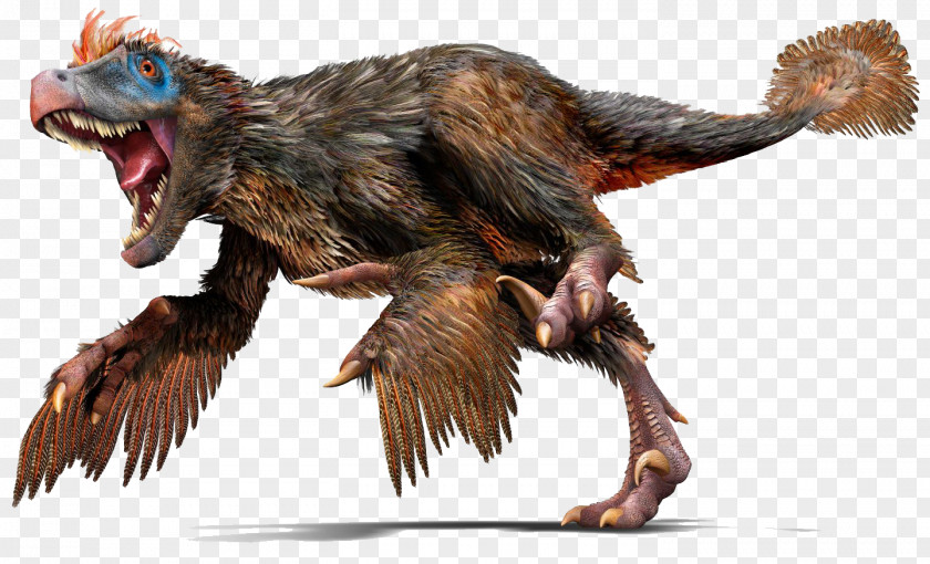 Bird Velociraptor Tyrannosaurus Dinosaur Feather PNG