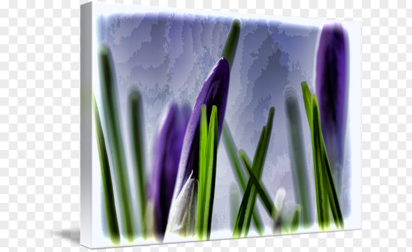 Flower Desktop Wallpaper Computer PNG