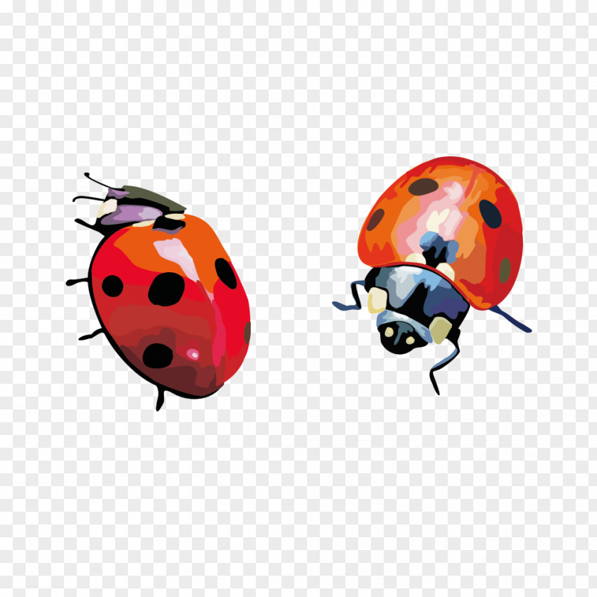 Hand-painted Ladybug Vector Material Coccinella Septempunctata Insect Clip Art PNG