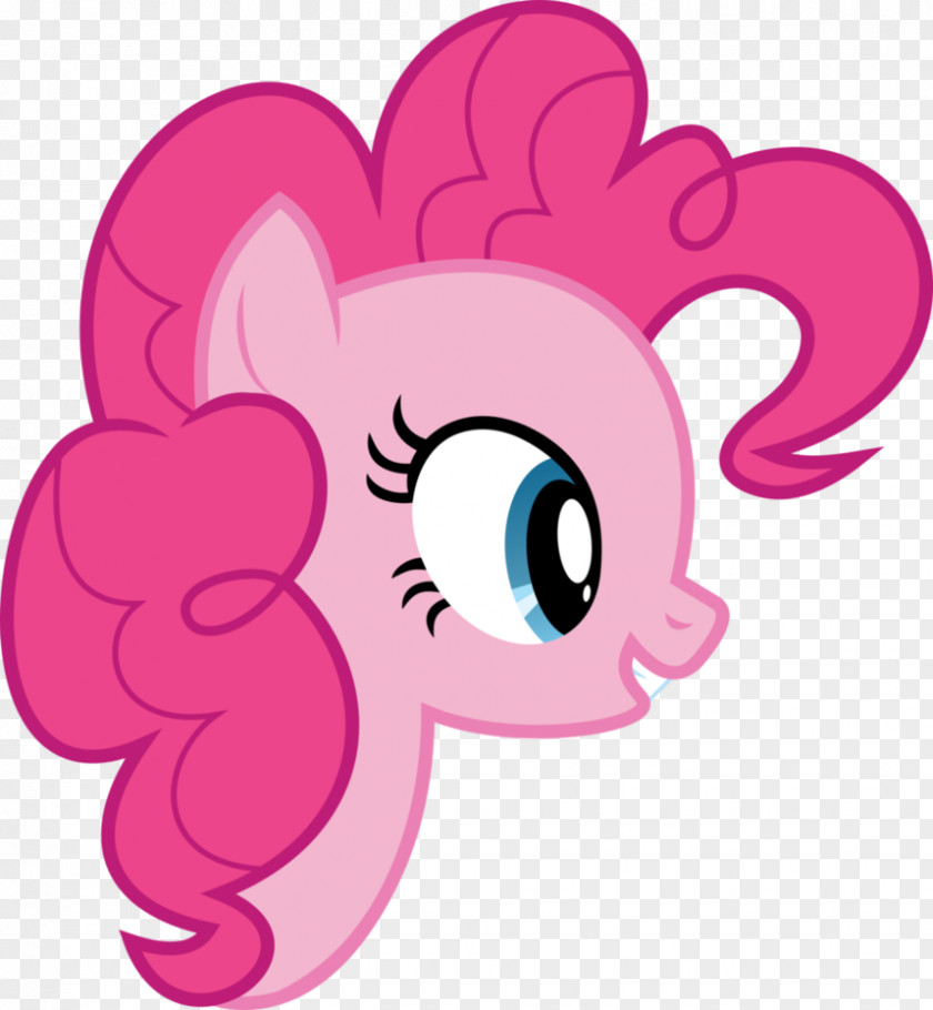 Pinkie Pie Rainbow Dash Rarity Twilight Sparkle Applejack PNG