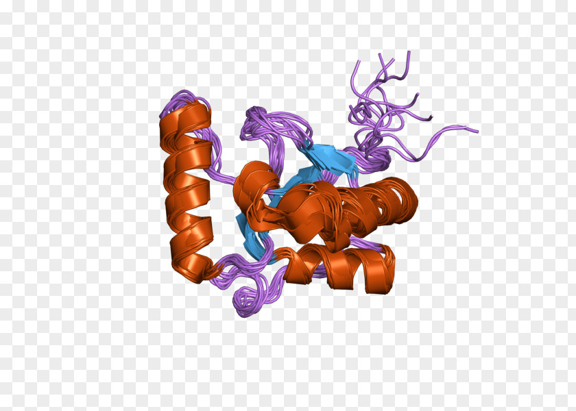 Toy Organism PNG