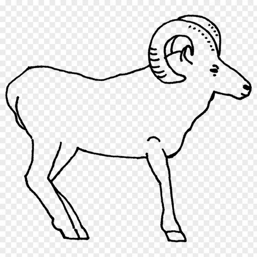 Horse Sheep Meter Human Tail PNG