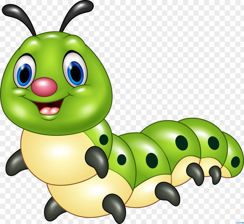 Insects Caterpillar Drawing Cartoon PNG