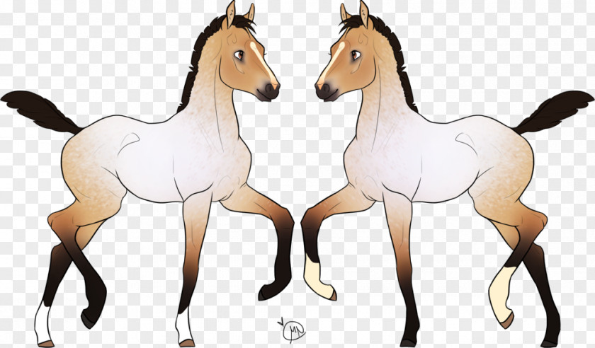 Mustang Foal Mare Colt Stallion PNG