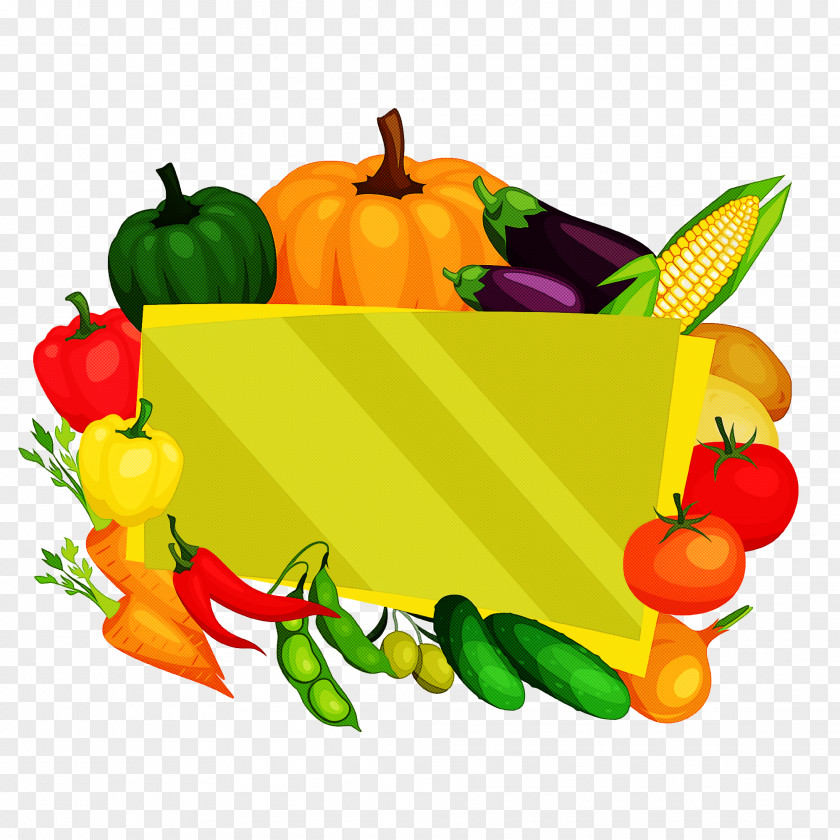 Thanksgiving Autumn Harvest PNG