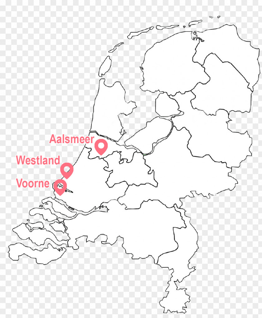 Anthuriums Name North Brabant Limburg East Brabantian PNG