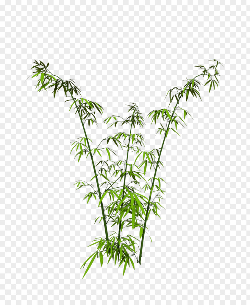 Bamboo Download Icon PNG