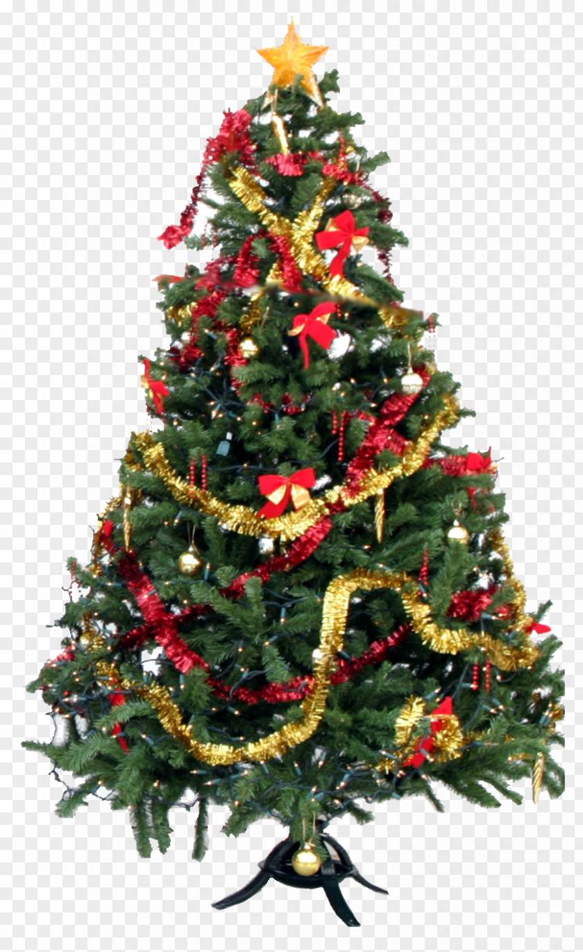 Santa Claus Christmas Tree Day Gift Graphics PNG