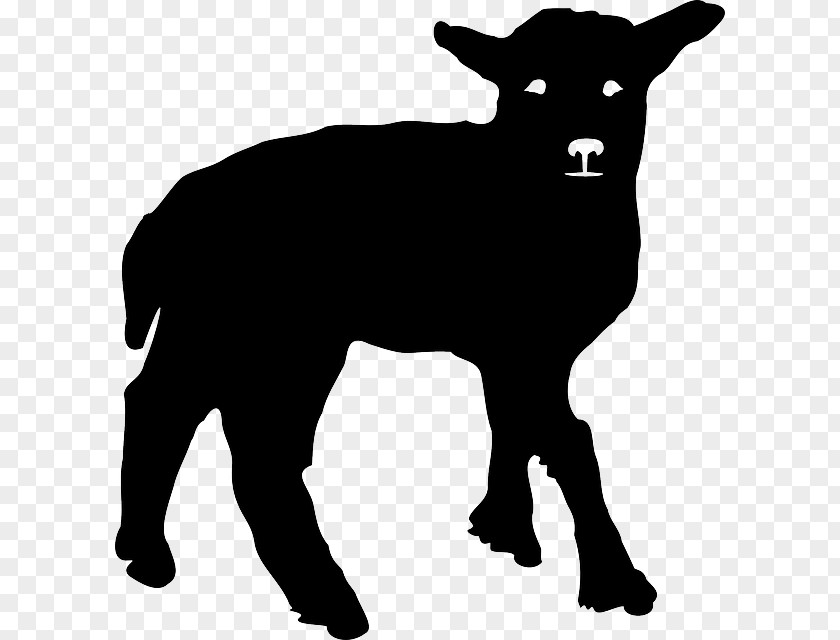 Silhouette Welsh Mountain Sheep Boer Goat Texel Cattle PNG