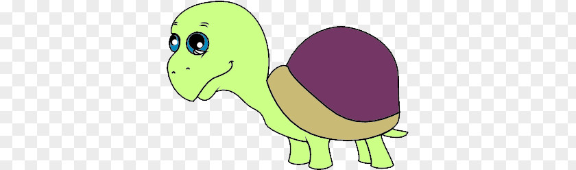 Turtle Cartoon Pics Clip Art PNG