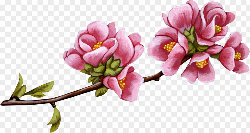Apricot Rose Flower Bird Blog Clip Art PNG
