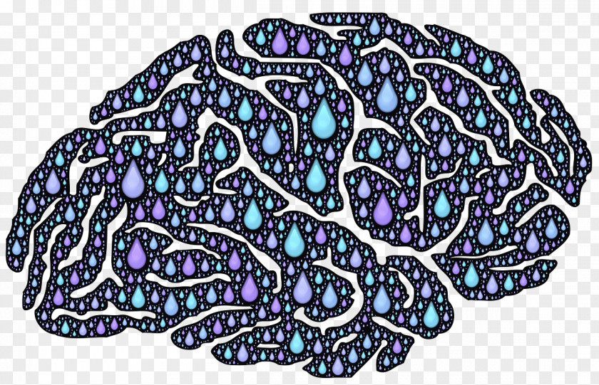 Brain Teardrop Composition Meaning Psychology Anxiety Agy Health PNG