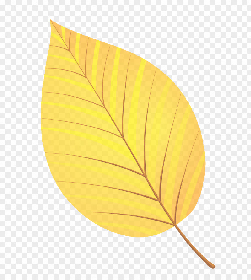 Flower Tree Orange PNG