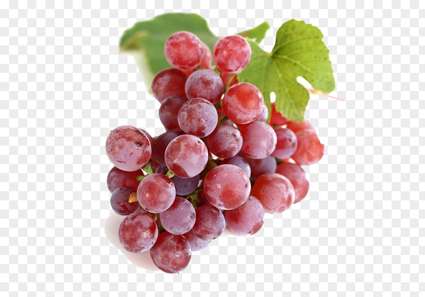 Grape Juice Seed Extract Flavor Oil PNG