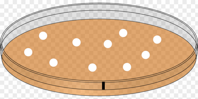 Petri Dish Antimicrobial Resistance Antibiotics Staphylococcus Aureus Clip Art PNG