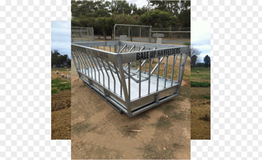 Roofs Kereman Cattle Sheep Feedlot Farm PNG