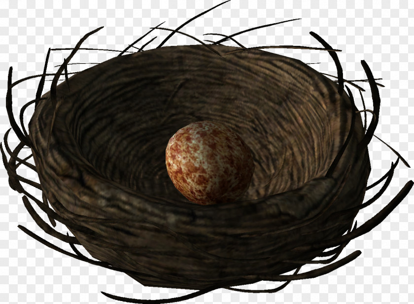 Bird Nest The Elder Scrolls V: Skyrim Cyrodiil Egg PNG