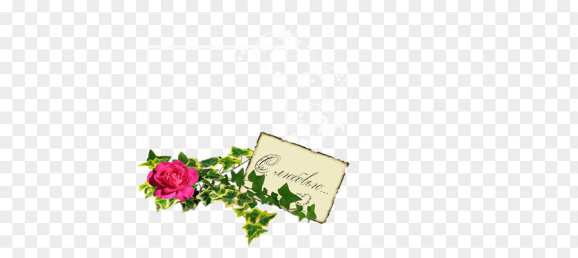 Design Floral Greeting & Note Cards Font PNG