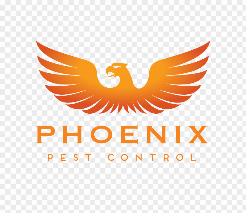 Fiery Investment Belmonte, Portugal Pest Control Bed Bug Voluntary Association PNG